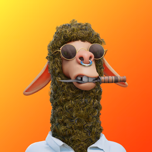 Laid Back Llamas Collection