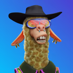 Laid Back Llama #0604
