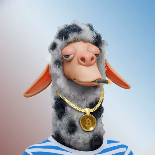 Laid Back Llamas Collection