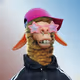 3223