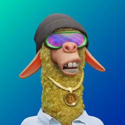 Laid Back Llama #2972