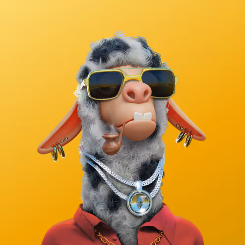 Laid Back Llamas Collection