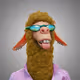 4229