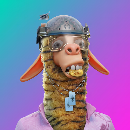 Laid Back Llamas Collection