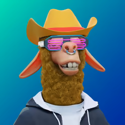 Laid Back Llama #2281