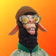 1774