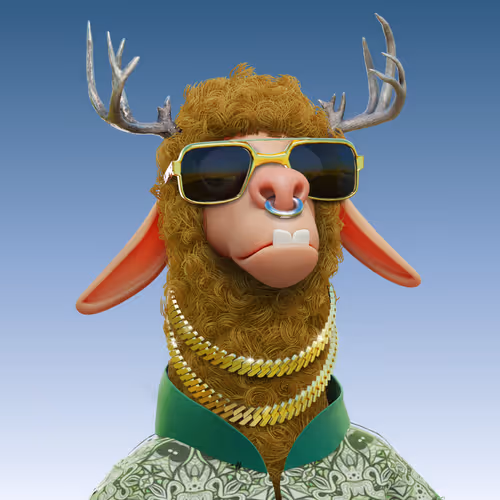 Laid Back Llamas Collection