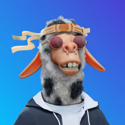 Laid Back Llama #2326
