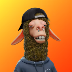 Laid Back Llama #2780