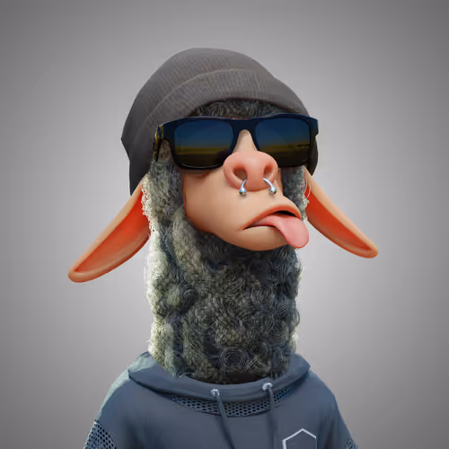 Laid Back Llamas Collection