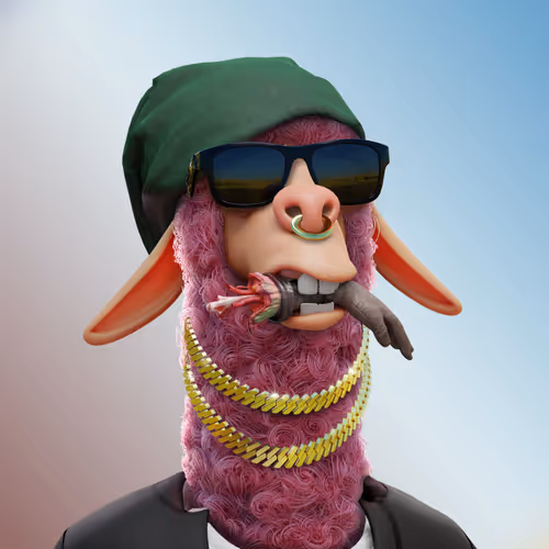 Laid Back Llamas Collection