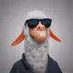 6559