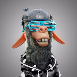 Laid Back Llama #3147