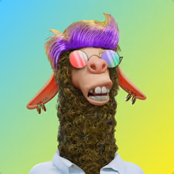 Laid Back Llama #6219