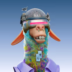Laid Back Llama #4271