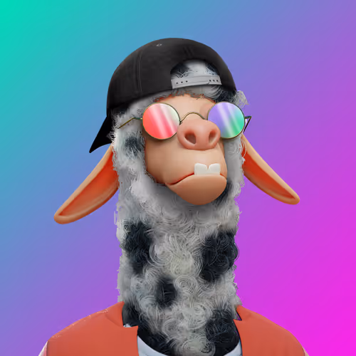 Laid Back Llamas Collection