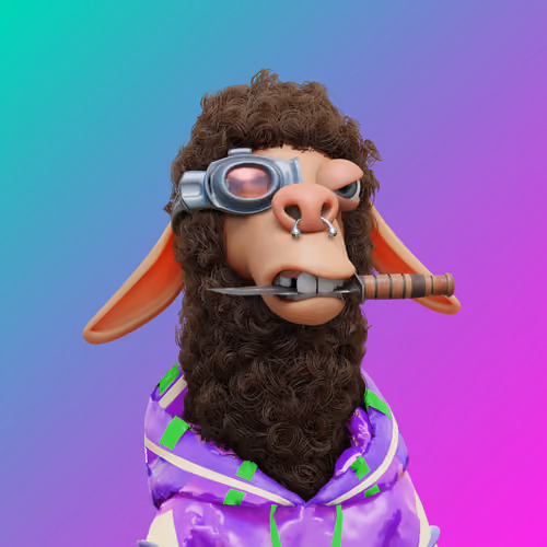 Laid Back Llama #2445