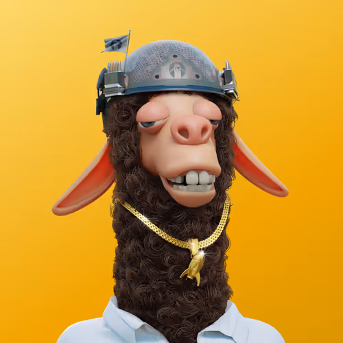 Laid Back Llamas Collection