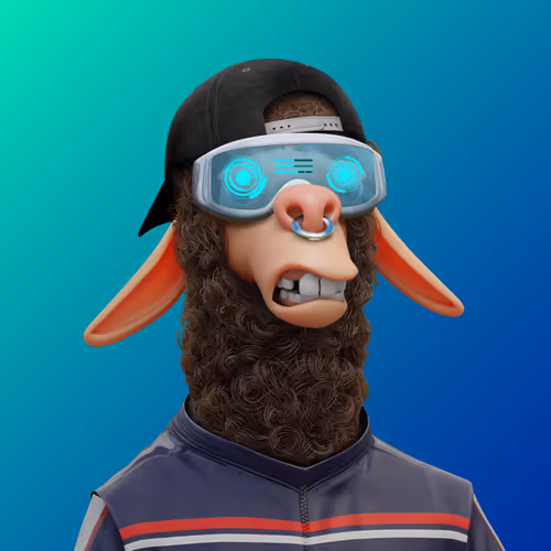 Laid Back Llamas Collection