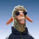 2206