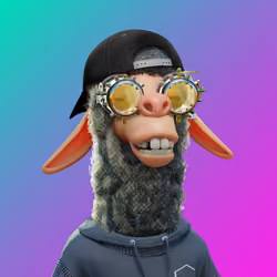 Laid Back Llama #6874