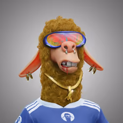 Laid Back Llama #4876
