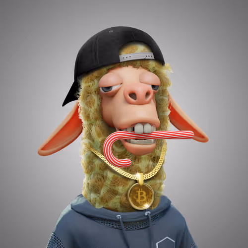 Laid Back Llamas Collection