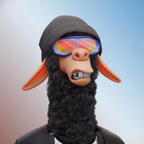 Laid Back Llamas Collection