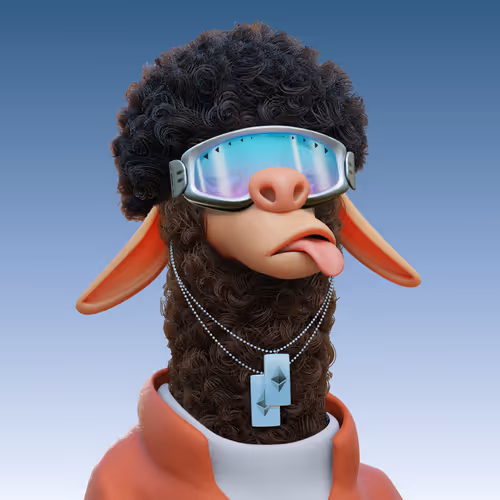 Laid Back Llamas Collection