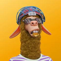 Laid Back Llama #6057