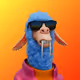 2225
