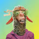 6667