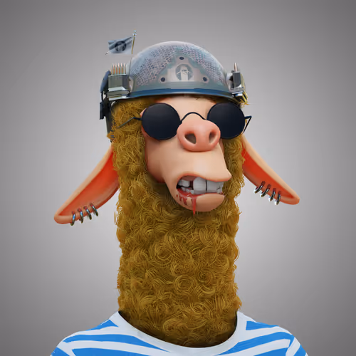 Laid Back Llamas Collection