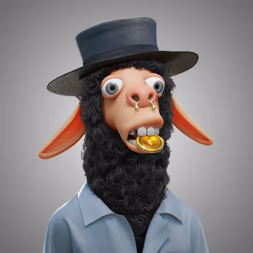Laid Back Llamas Collection