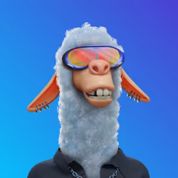 Laid Back Llama #2078