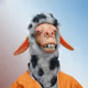 6253