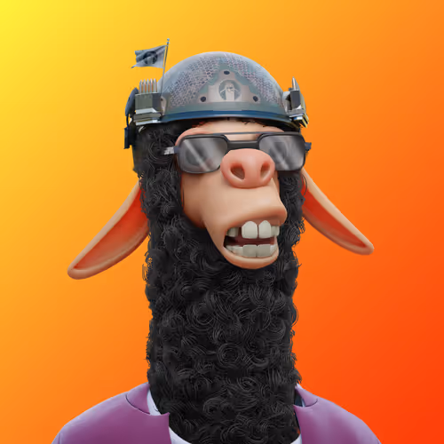 Laid Back Llamas Collection