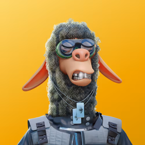 Laid Back Llamas Collection