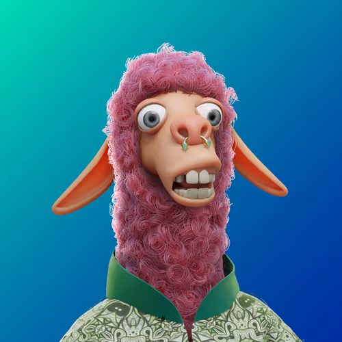 Laid Back Llamas Collection