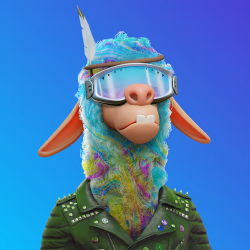 Laid Back Llamas Collection
