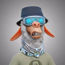 Laid Back Llama #2803