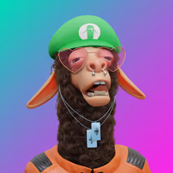 Laid Back Llama #6024
