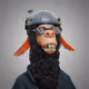 1569