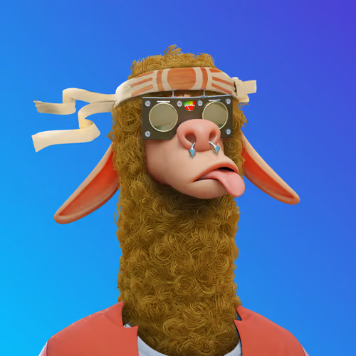Laid Back Llamas Collection