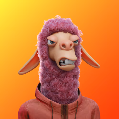 Laid Back Llamas Collection