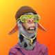 497