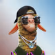 6319