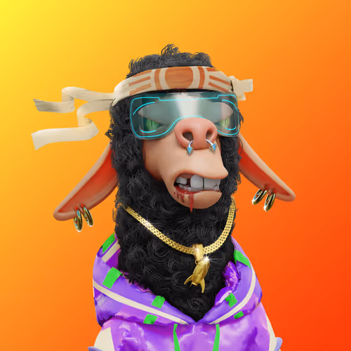 Laid Back Llamas Collection