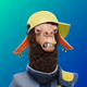 4981