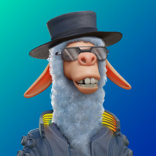 Laid Back Llamas Collection